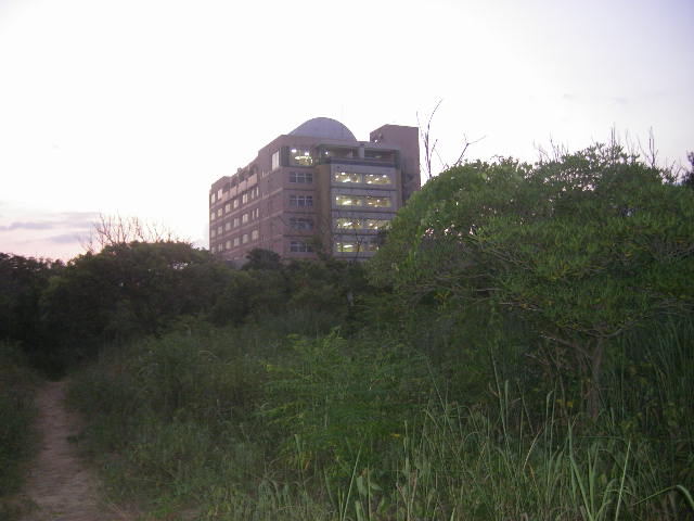 nagahama-hospital.jpg